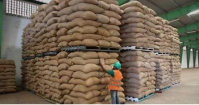 Côte d'Ivoire :  Café-cacao, le fonds d'investissement 2022 affiche un solde positif de 29,33 milliards de FCFA soit une hausse de 2,07 milliards de FCFA