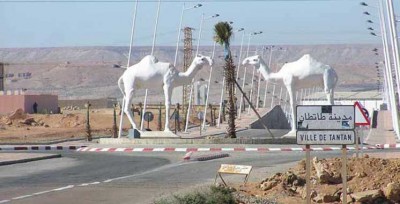 Côte d'Ivoire-Maroc : Une ressortissante ivoirienne portée disparue retrouvée à Tan-Tan, l'Ambassade s'active pour son rapatriement