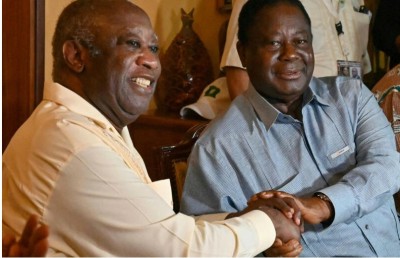Côte d'Ivoire : Locales 2023, le PDCI et le PPA-CI vont entamer des discussions en vue d'un accord pour des listes communes dans certaines Mairies et Régions