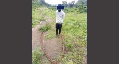 Côte d'Ivoire : Vol de matériaux de construction sur les chantiers à Bingerville,  la police met le grappin sur des suspects