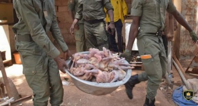 Burkina Faso : Saisie de plus d'une demie tonne de poulets impropres à la consommation