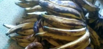 Cameroun : Les autorités alertent sur les dangers du formol utilisé pour les produits alimentaires