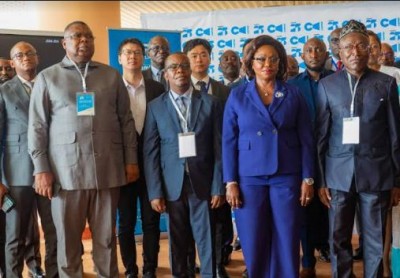 Cameroun : Les chefs d'entreprises appellent le gouvernement à améliorer l'offre en énergie pour favoriser le développement numérique