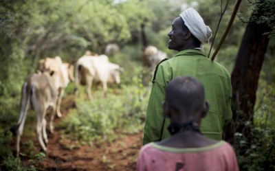Monde : Un Bouclier Contre la Faim en Afrique de l'Ouest et au Sahel