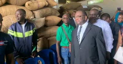 Cameroun : Prix record de 2015 FCFA par kg pour le cacao, un exploit inespéré