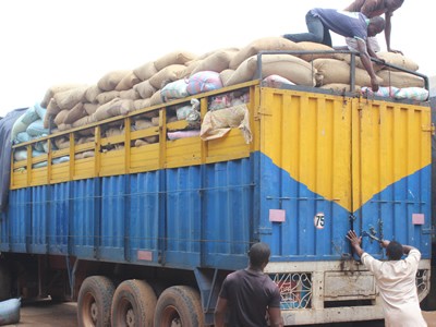 Côte d'Ivoire : Les pays voisins et les contrebandiers profiteraient de la fuite du cacao ce qui entraînerait une perte de dizaines de milliards de FCFA pour l'État