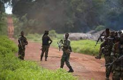 Centrafrique : Au moins 22 morts dans une attaque rebelle dans le nord-ouest