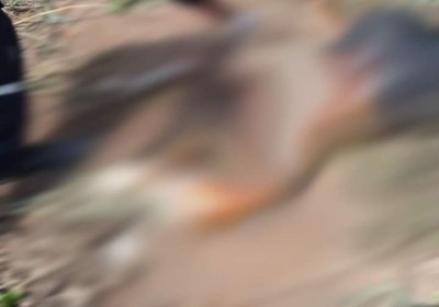 Côte d'Ivoire : Drame à Bouaflé, le corps sans vie d'une femme de 40 ans découvert dans le fleuve Bandama