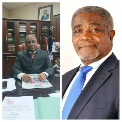 Cameroun: Deux nouveaux membres ont été nommés au conseil constitutionnel
