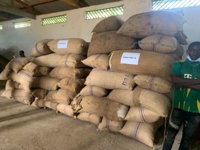 Cameroun : Nouveau prix record pour le Cacao vendu à 2730 FCFA le kg
