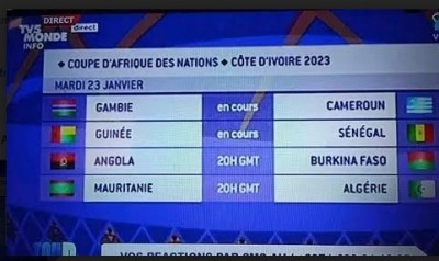 Cameroun : TV5 monde remplace le drapeau camerounais par celui des séparatistes anglophones, le CNC demande des explications