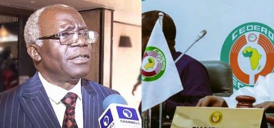 Nigeria-Sénégal : L'avocat nigérian Falana réclame des sanctions de la CEDEAO contre le Président sénégalais