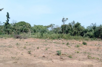 Côte d'Ivoire : « Sonné » par une décision de justice en sa défaveur, un enseignant retraité se pend