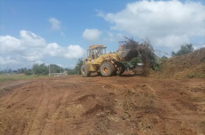 Côte d'Ivoire : Taabo, des plantations de cacao à la tête de la commune, l'élu met sa localité en chantier