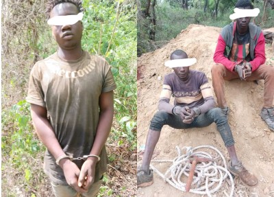 Côte d'Ivoire : Dans la forêt classée de Kowa, 3 orpailleurs clandestins appréhendés