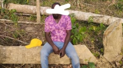 Côte d'Ivoire : Deux frères qui s'adonnaient à la vente des parcelles dans une forêt classée placés sous mandat de dépôt