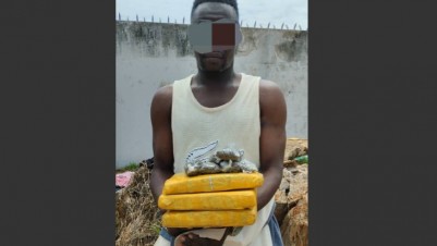Côte d'Ivoire : Daloa, un important dealer de drogue arrêté par la police