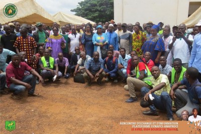 Côte d'Ivoire : Nouveau prix du cacao, des producteurs demandent au gouvernement de monter à 2500 FCFA le kg et exigent la révision des textes qui régissent la filière