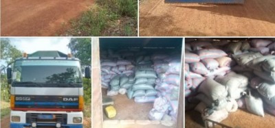 Côte d'Ivoire : Saisie des fèves de cacao à la frontière ivoiro-guinéenne, le film de l'opération menée par la Gendarmerie