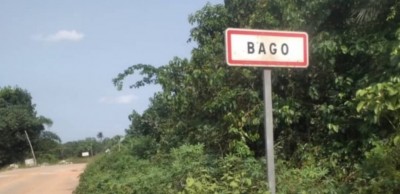 Côte d'Ivoire : Des abeilles font des victimes dans le village de Bago (Songon), deux morts et un cas grave
