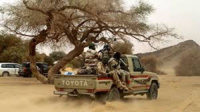 Niger : Cinq soldats blessés dans une embuscade de Boko Haram dans le sud-est