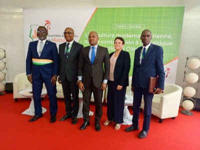 Côte d'Ivoire : Production avicole, les acteurs planchent sur les défis liés à leur secteur d'activité