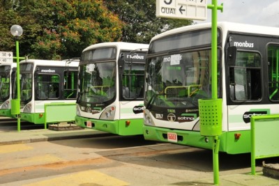 Côte d'Ivoire : Songon, la Sotra va-t-elle lancer bientôt une nouvelle ligne de Bus ?