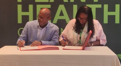 Côte d'Ivoire : Renforcement de la santé des plantes, CILLS, WAVE et AWARD, s'unissent pour combattre les maladies virales des cultures