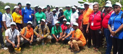Côte d'Ivoire : Banane plantain, des chercheurs agronomes d'une vingtaine de pays s'imprègnent des technologies utilisées par le CNRA pour booster la production