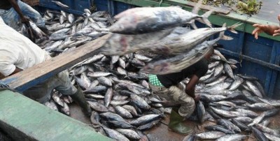 Côte d'Ivoire : Crise dans le secteur du faux-thon à Abidjan, l'UMAG-CI appelle à l'intervention de Ouattara pour éviter des affrontements violents