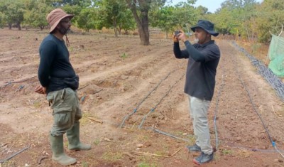 Côte d'Ivoire : Poro, une équipe d'ingénieurs agronomes britanniques visite une plantation expérimentale dans le village de Lataha