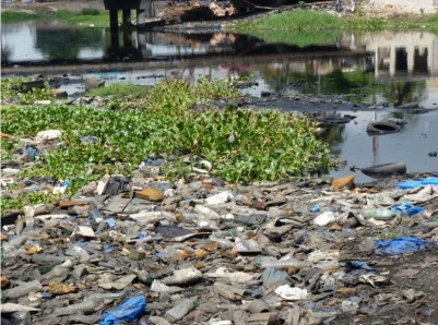 Côte d'Ivoire : Pollution de la lagune Ebrié, vers la mise en place d'une police de l'environnement face à l'agression de plus en plus récurrente de la nature