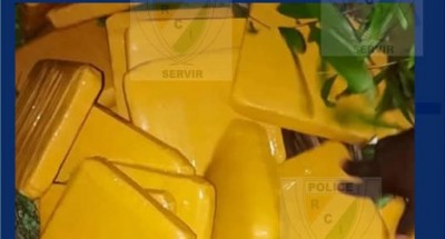 Côte d'Ivoire : 20 Kilogrammes de cannabis saisis à Modeste, un coup porté au trafic local