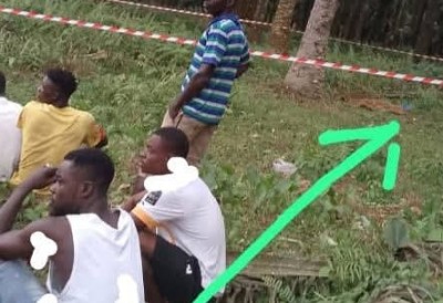 Côte d'Ivoire : Yapokro (Aboisso), découverte macabre, une femme retrouvée mutilée dans une palmeraie