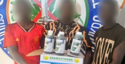 Côte d'Ivoire : Des individus interpellés avec des produits phytosanitaires en provenance du Ghana