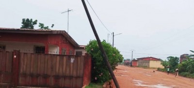 Côte d'Ivoire : Tragédie à N'Zikro, un commerçant retrouvé mort, tué dans une plantation d'hévéas