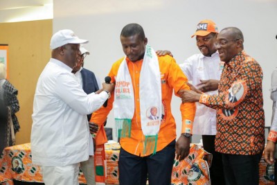 Côte d'Ivoire: Présidentielle 2025, le RHDP mobilise la diaspora à Paris sous la houlette de Ouattara Dramane