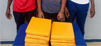 Côte d'Ivoire : 11 blocs de cannabis soigneusement dissimulés dans les bagages d'un passager, trois suspects interpellés
