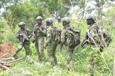 Côte d'Ivoire : Renforcement des capacités des FACI, l'AFA de Zambakro a effectué son exercice de synthèse tactique annuel