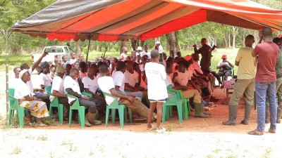 Côte d'Ivoire : À Bouaflé, la reforestation prend racine comme un acte de rénovation écologique et communautaire