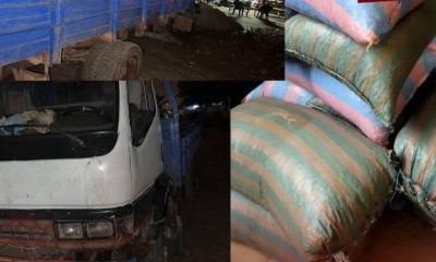 Côte d'Ivoire : Gagnoa, un butin de cacao volé retrouvé, le voleur s'évapore dans la nuit