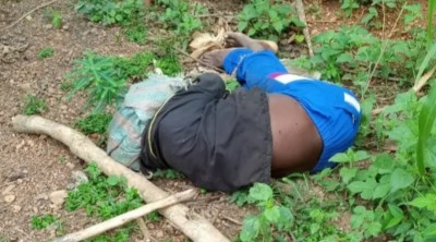 Côte d'Ivoire : Un septuagénaire retrouvé mort dans des circonstances atroces à N'Douci