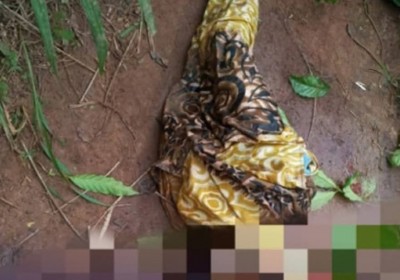 Côte d'Ivoire : Horreur à Goberi, une femme retrouvée décapitée dans son champ