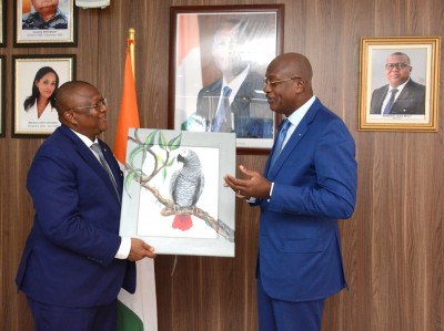 Côte d'Ivoire-Gabon : Libreville s'inspire d'Abidjan pour sa transition vers la TNT