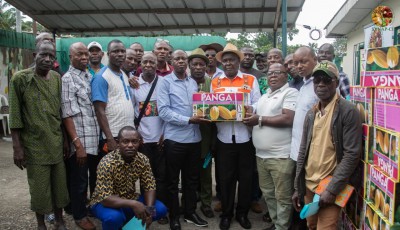 Côte d'Ivoire : Grève des producteurs de café-cacao, le SYNAP-CI renforce la mobilisation et organise la distribution de phytosanitaires