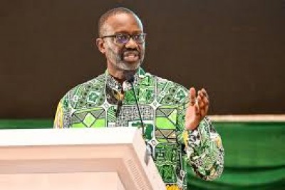 Côte d'Ivoire : Adjoumani tacle Thiam après la divulgation d'une lettre confidentielle: «Ce n'est pas digne d'un homme d'État »