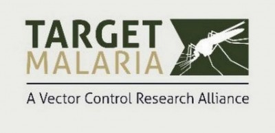 Burkina Faso : le gouvernement met fin aux activités du projet Target malaria de la fondation Bill et Mélinda Gates