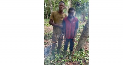 Côte d'Ivoire : Quatre individus appréhendés dans le cadre des gestions forestières de Seguie