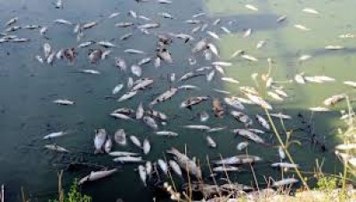 Côte d'Ivoire : Le MIRAH lève le repos biologique pour la pêche maritime et lagunaire, cap sur une reprise durable