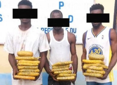 Côte d'Ivoire : Toulepleu, un important coup de filet contre un réseau de trafiquants de drogue